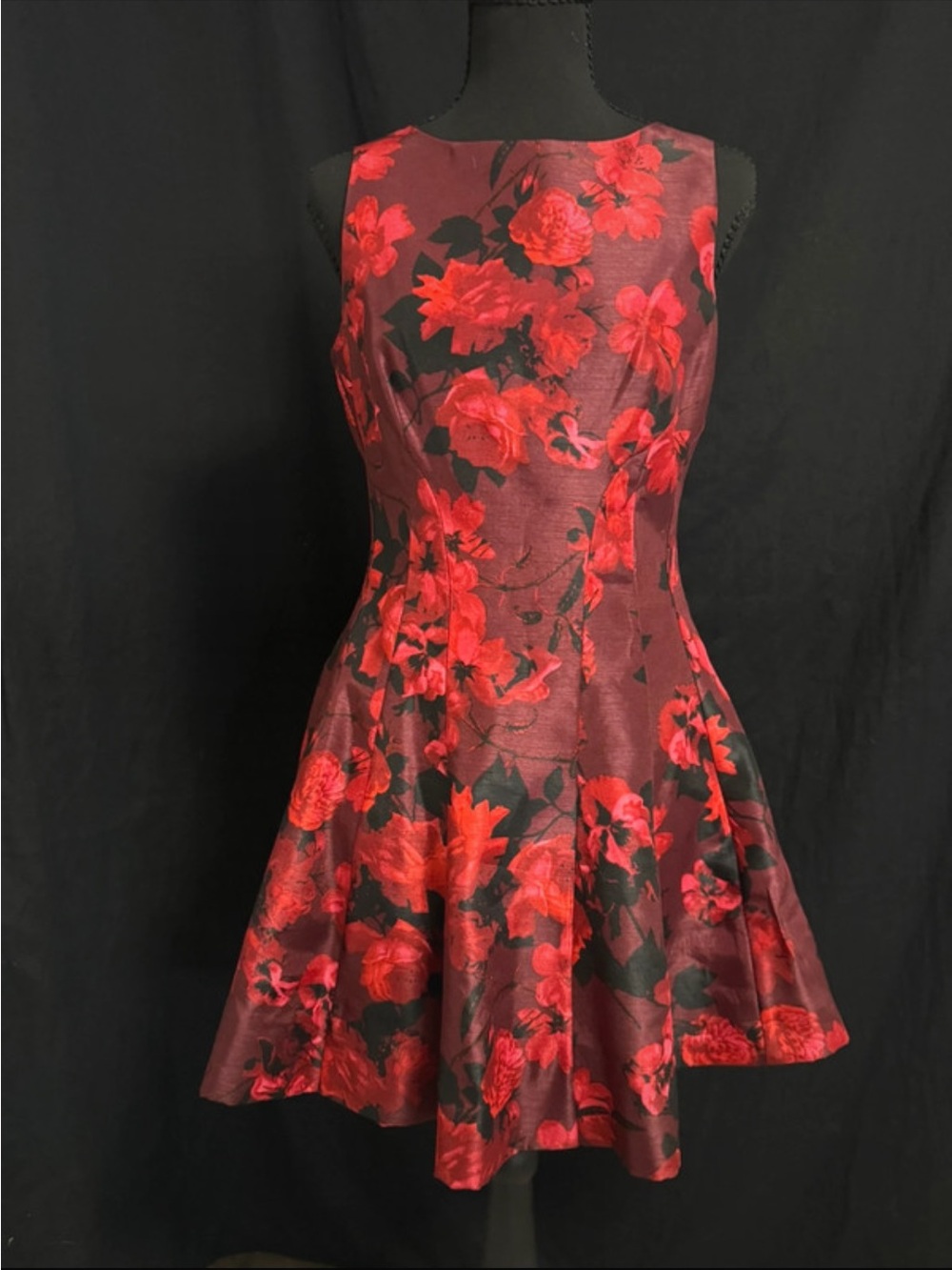Danny & Nicole Red Floral Sleeveless Fit-and-Flare Mini Dress